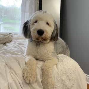 Meet your Posher, Patrick